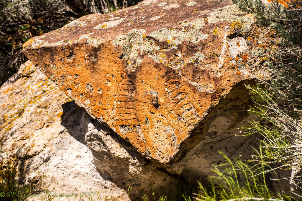 Fremont Indian Petroglyphs #1 5-27-2017.jpg