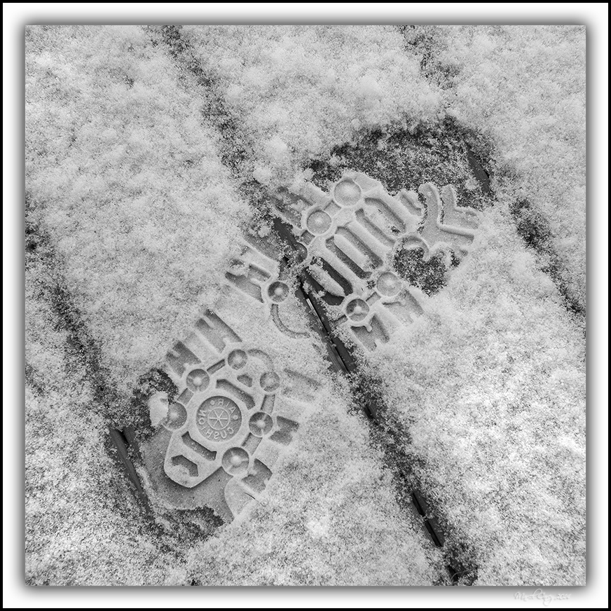 fresh snowtrack.jpg