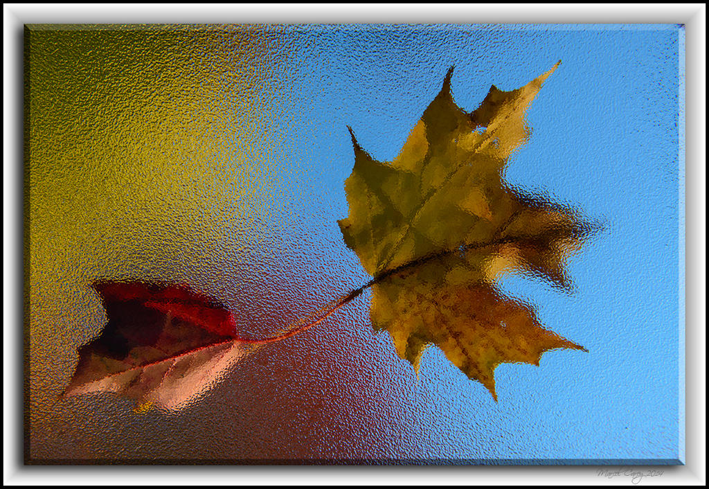 from under the table.jpg