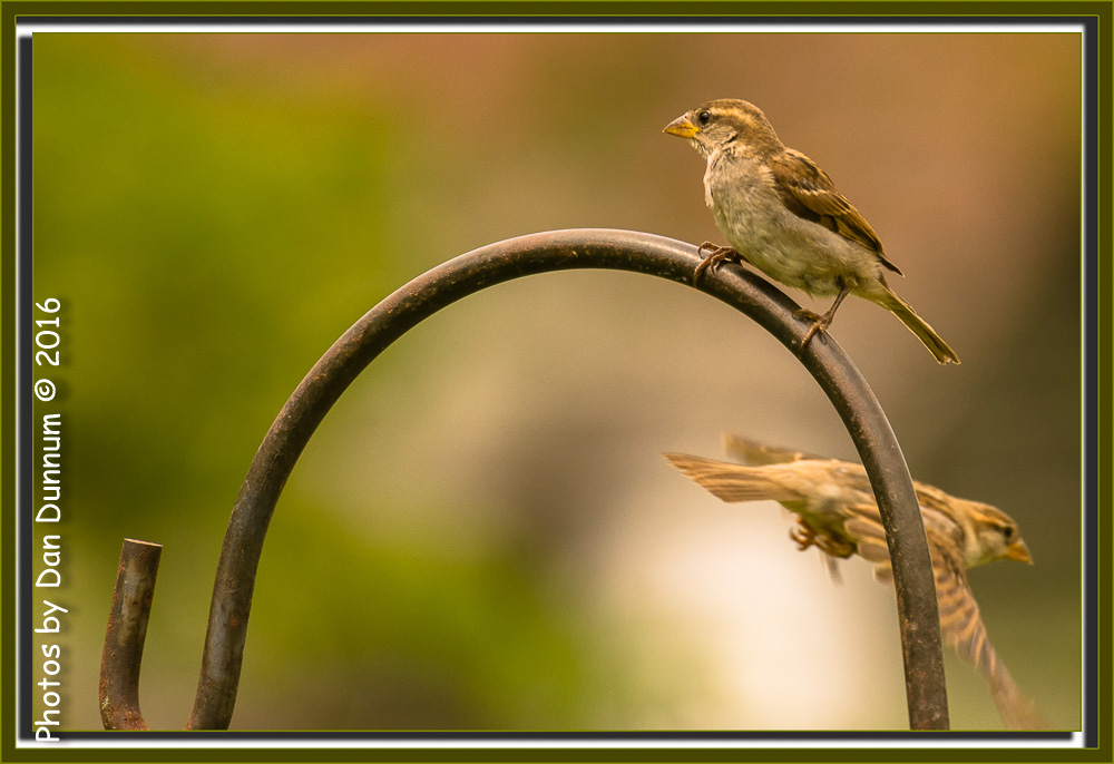 Front Porch Stuff-9045-Edit.jpg