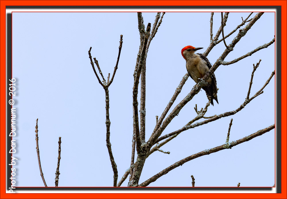 Front Porch Stuff-9052-Edit.jpg