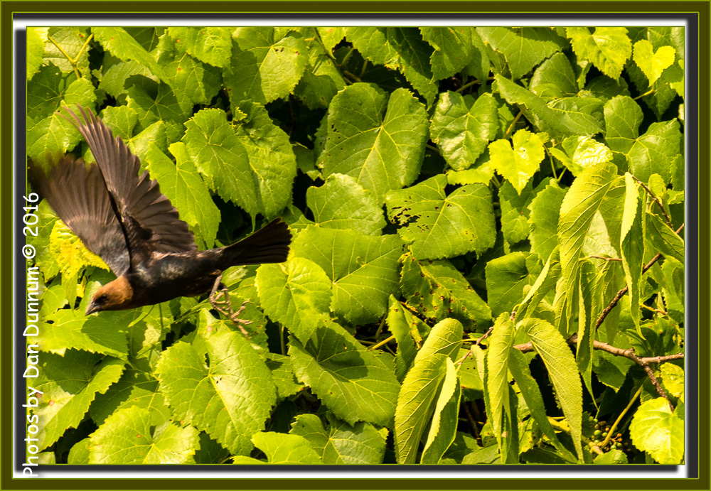 Front Porch Stuff-9067-Edit.jpg