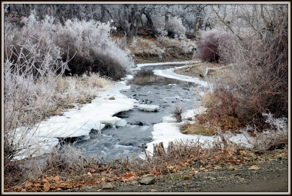 FROST 015.JPG
