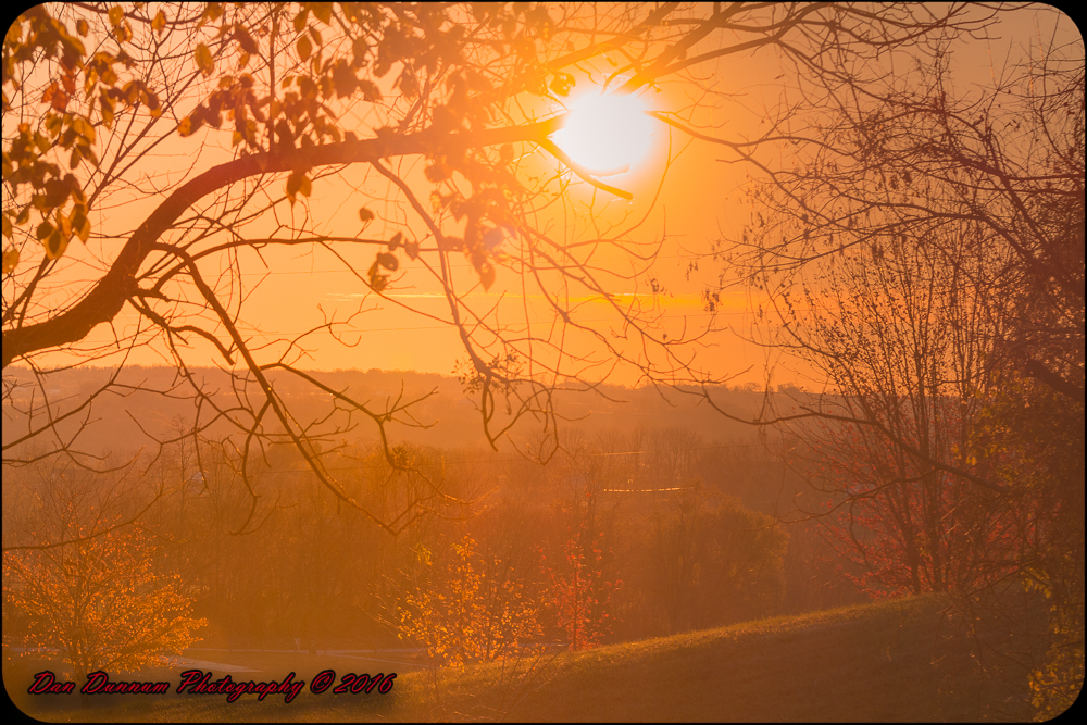 Frosty Morning-7322.jpg
