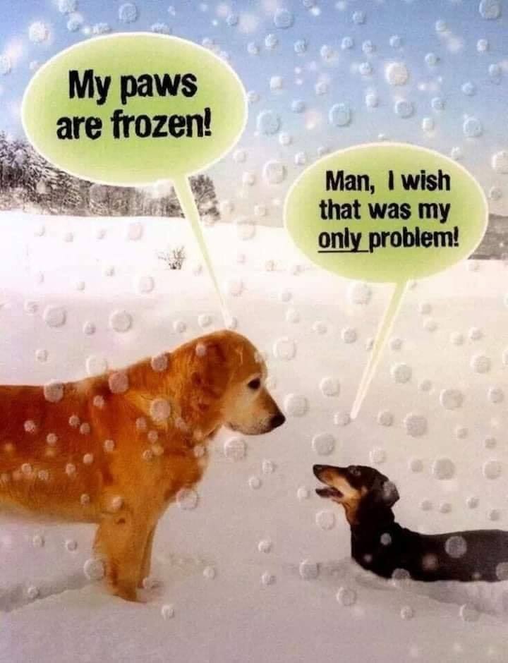 frozen.jpg