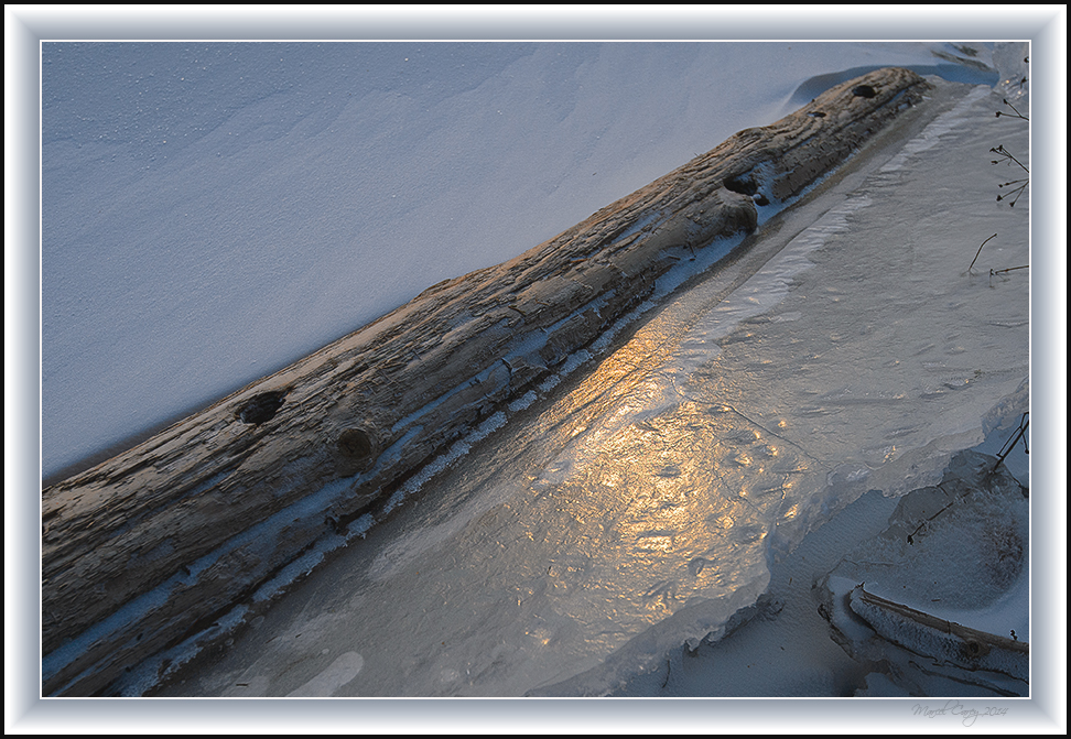 frozen log.jpg
