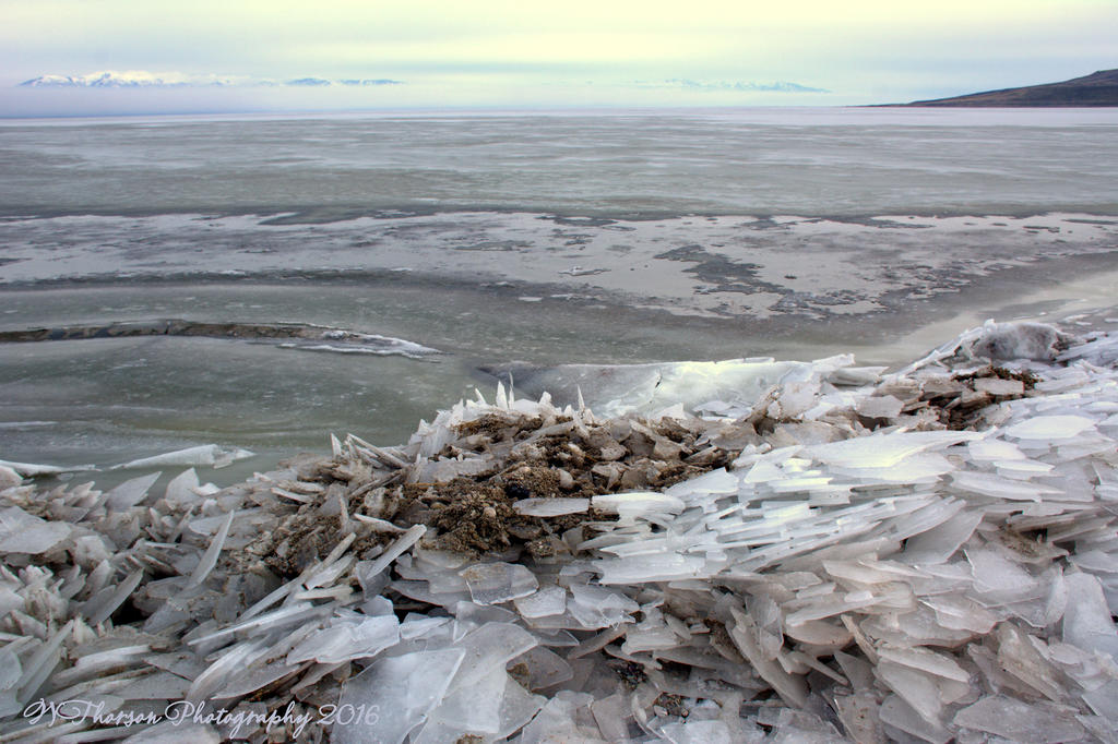 Frozen Wave on the Causeway #11 12-21-2016.jpg