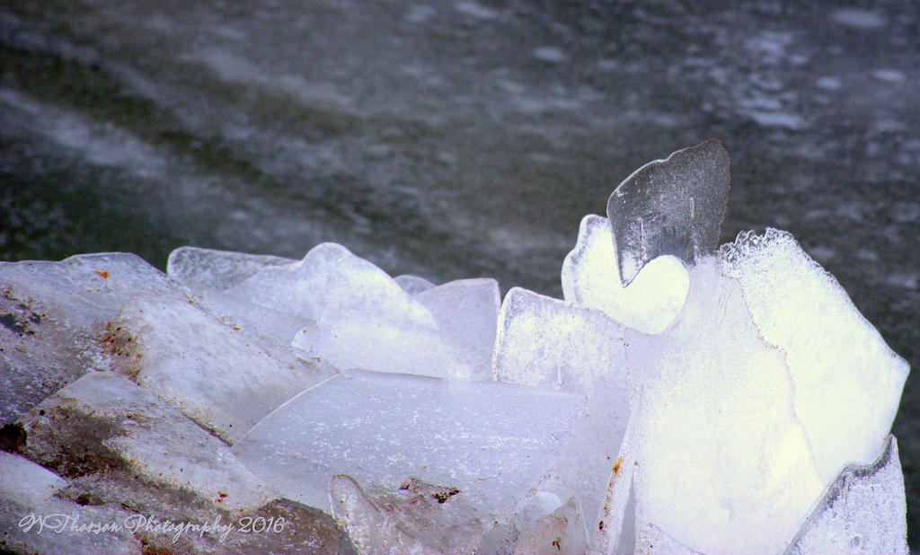 Frozen Wave on the Causeway #12 12-21-2016.jpg