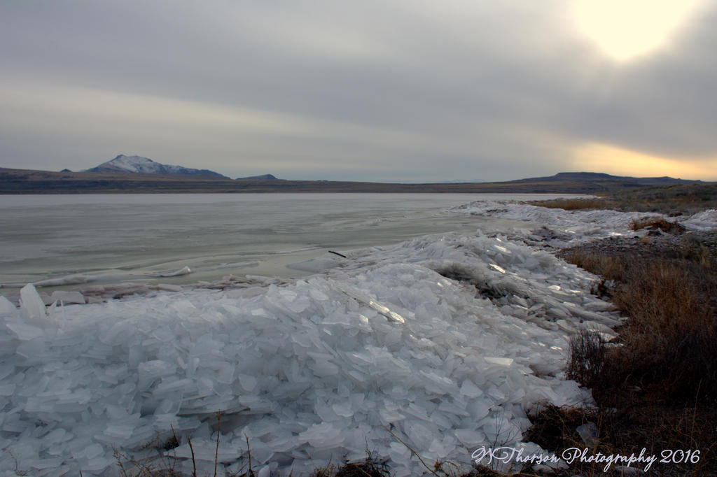 Frozen Wave on the Causeway #13 12-21-2016.jpg