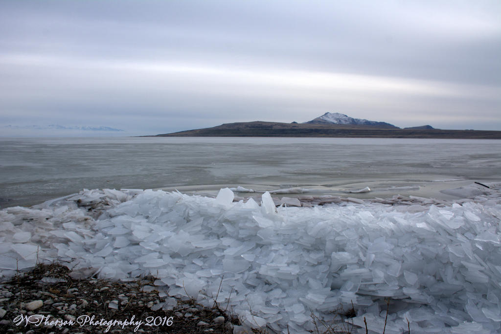 Frozen Wave on the Causeway #14 12-21-2016.jpg
