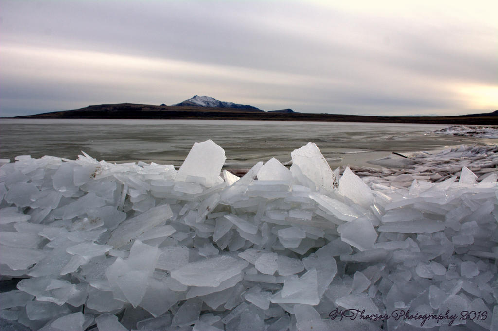 Frozen Wave on the Causeway #15 12-21-2016.jpg