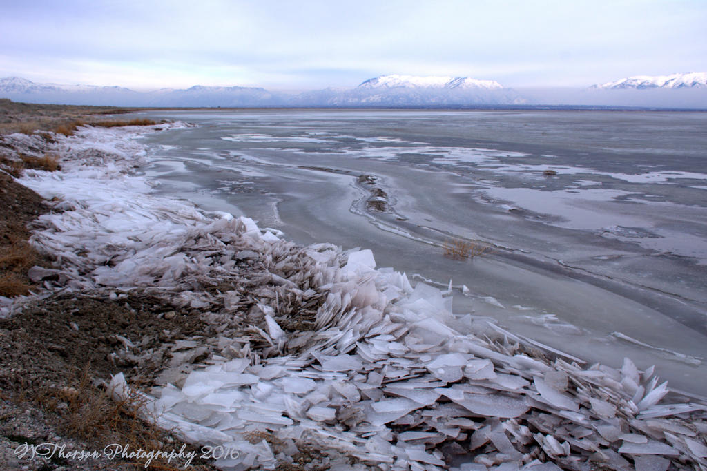 Frozen Wave on the Causeway #6 12-21-2016.jpg