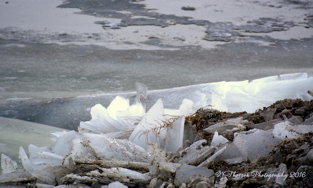 Frozen Wave on the Causeway #9 12-21-2016.jpg
