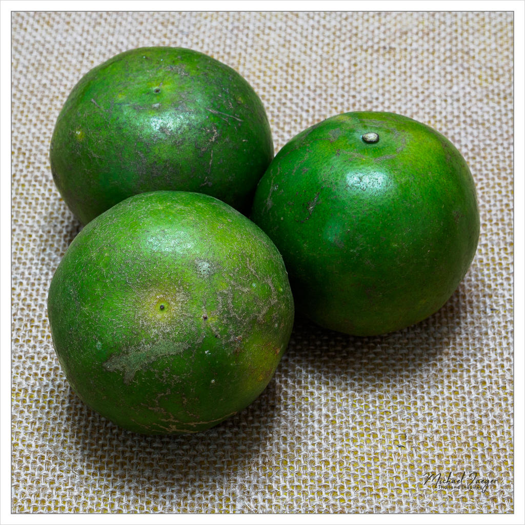 fruit-4.jpg