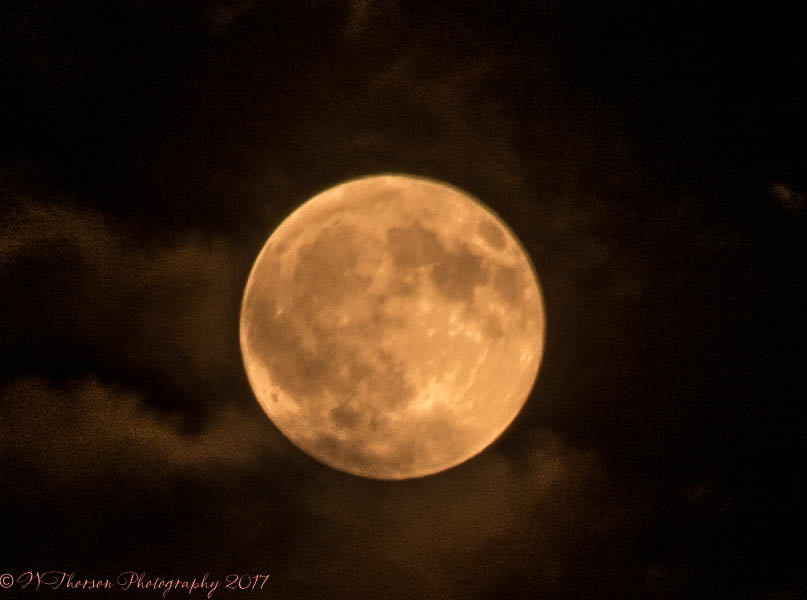 Full Moon #2 8-7-2017.jpg
