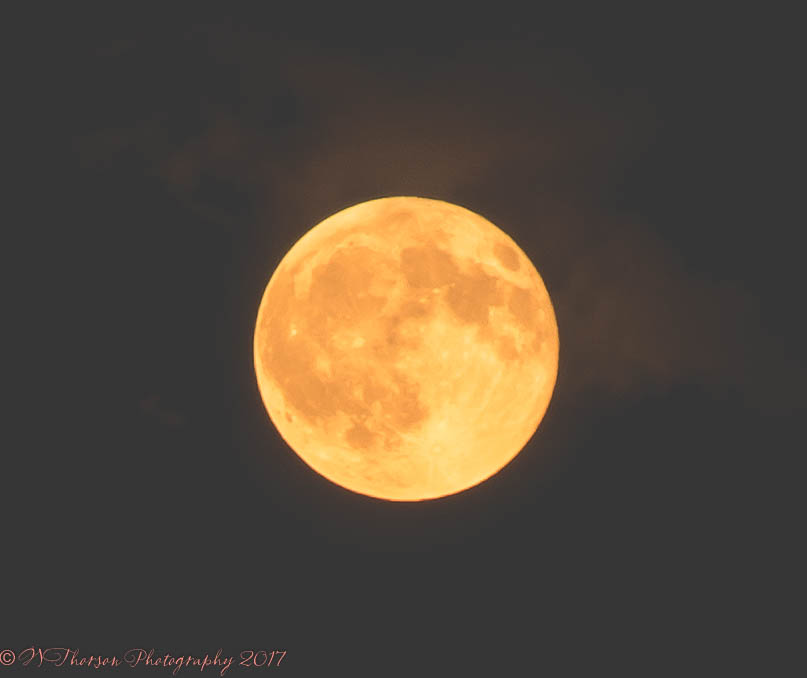 Full Moon 8-7-2017.jpg