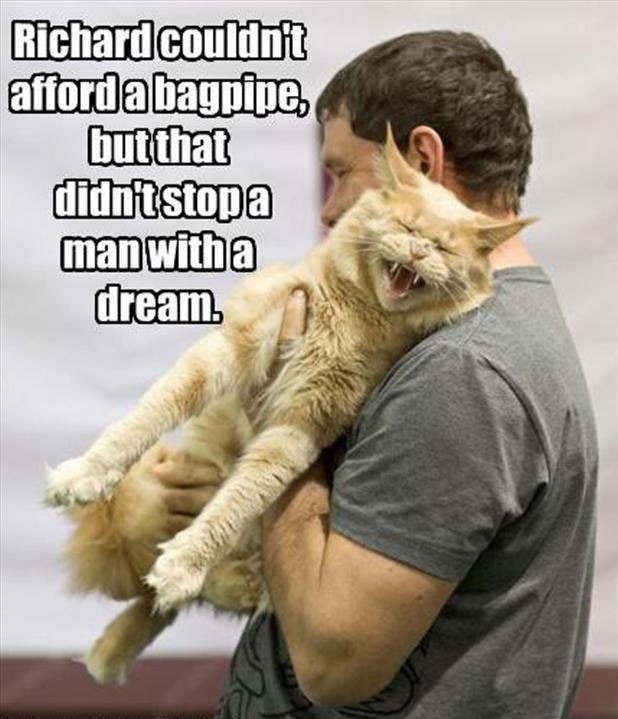 Funny-Animal-Pictures-26.jpg