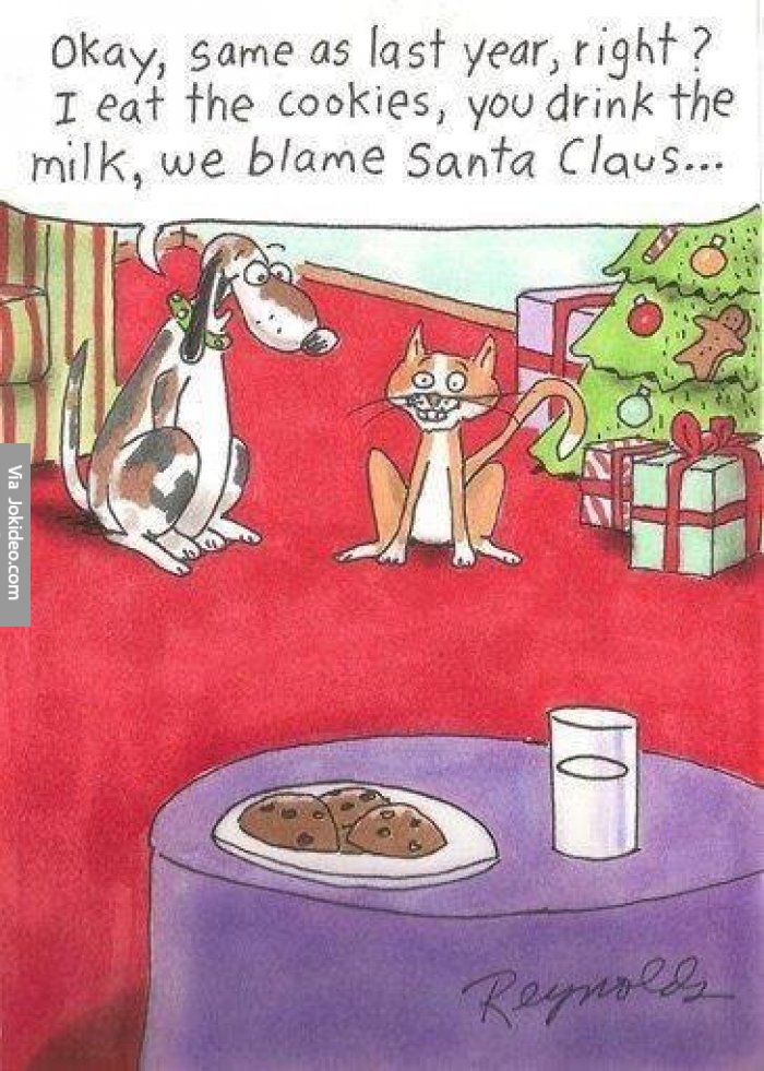 Funny-christmas-dog-and-cat-cartoon.jpg