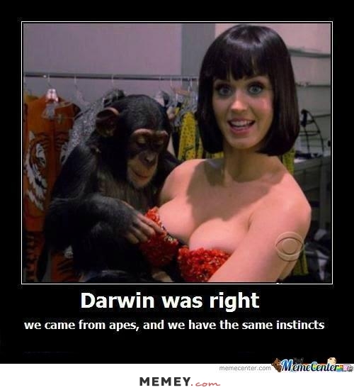 funny-monkey-cleavage.jpg