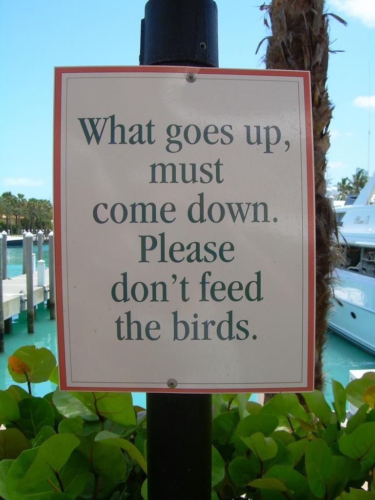 Funny sign boards.jpg