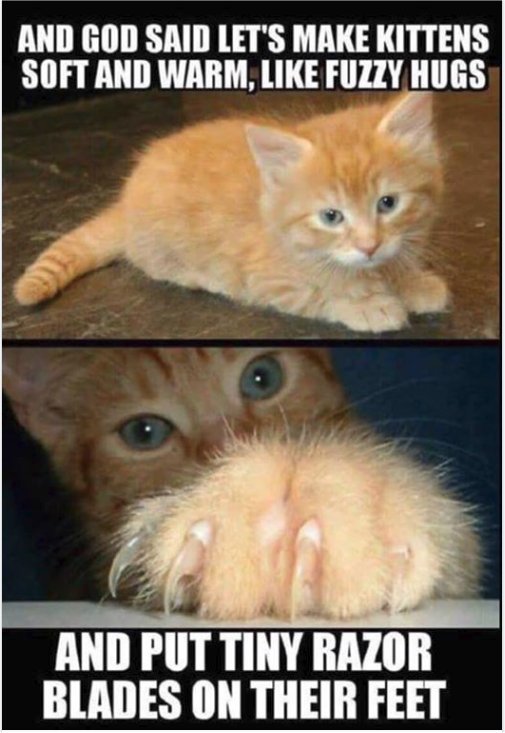 fuzzy hugs majorgeeks.jpg