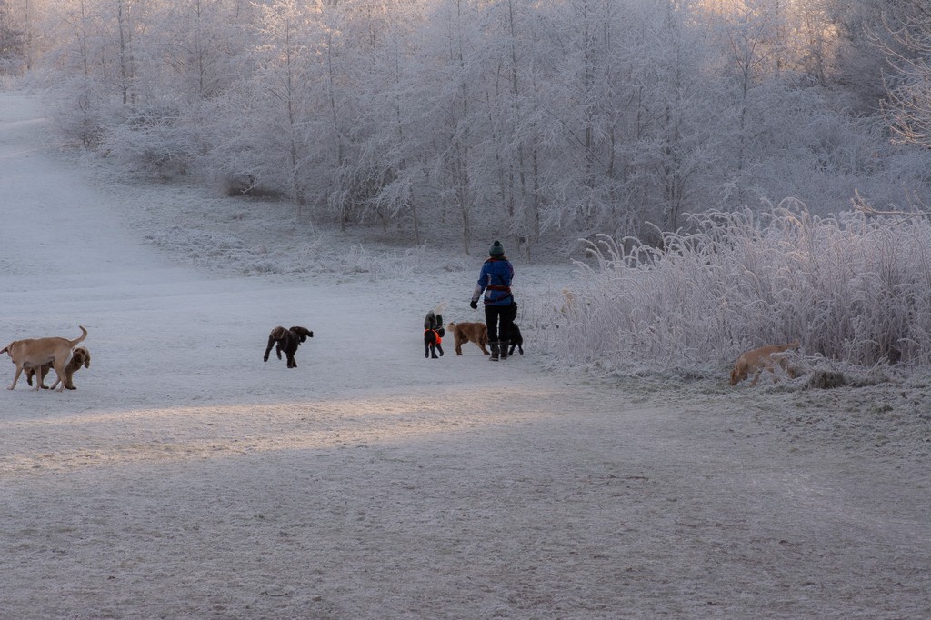FWinterwalkies.jpg