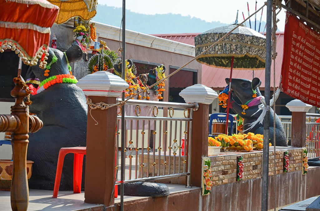 ganesha-suanphung-1.jpg
