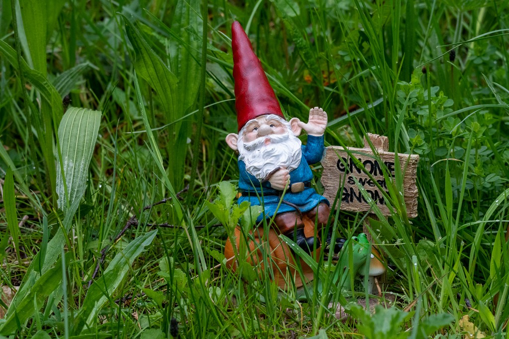 Gardening-2.jpg