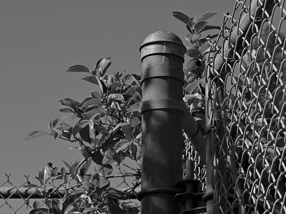 Gatepost.jpg