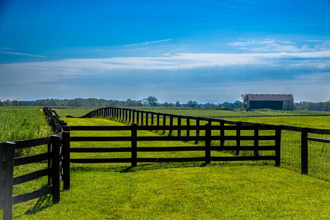Gates and such-1223.jpg