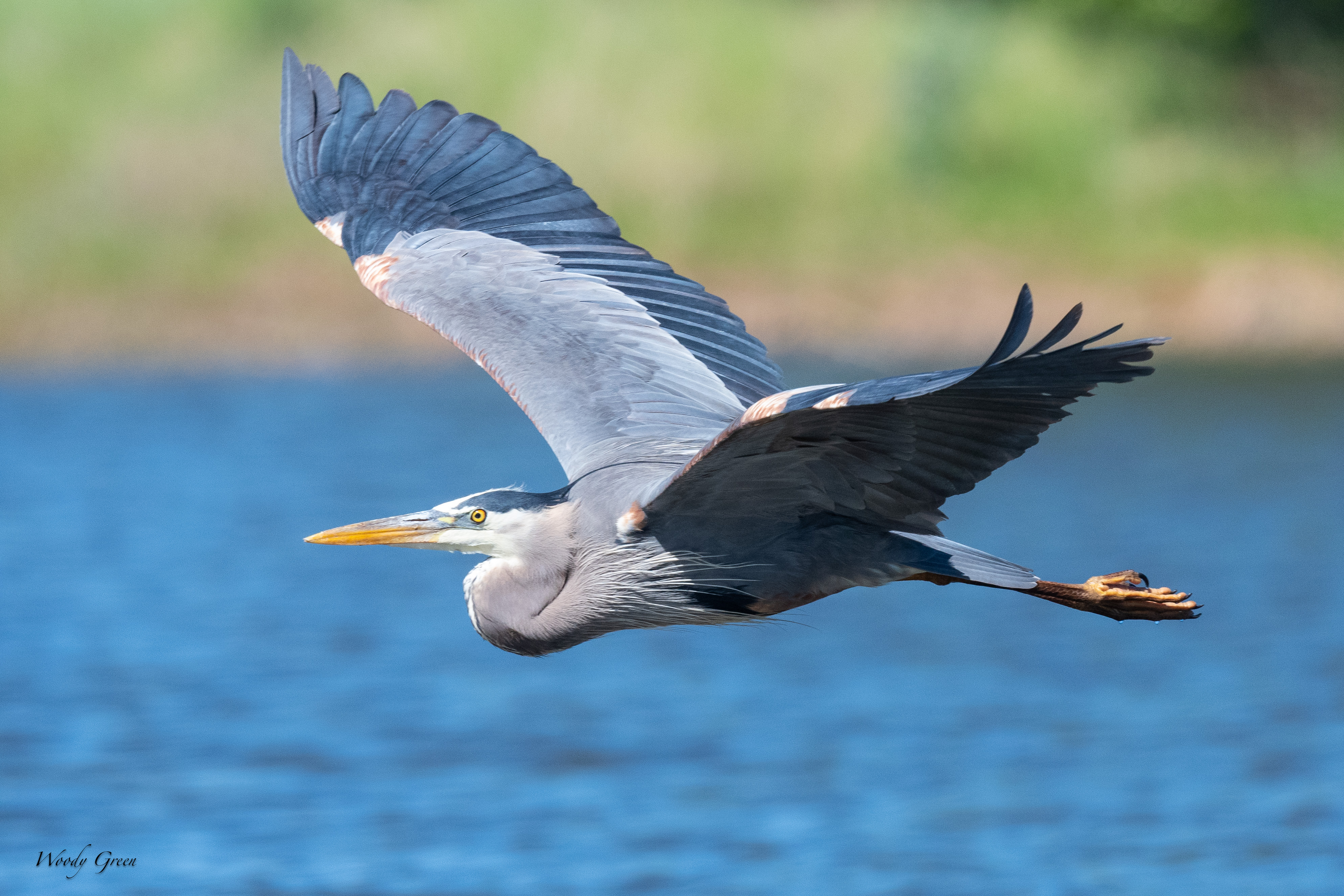 GBHFlight-121.jpg