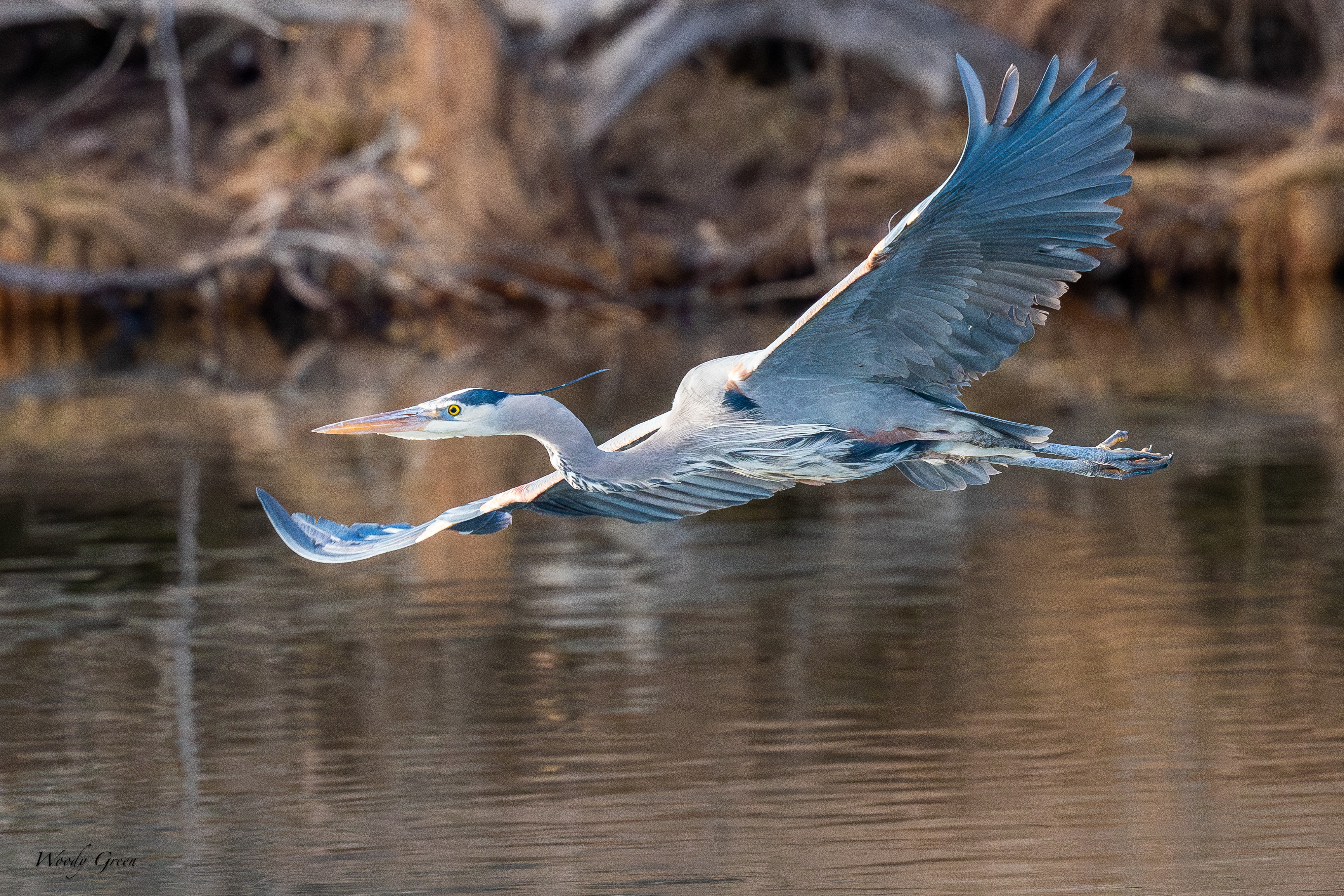 GBHFlight-282.jpg