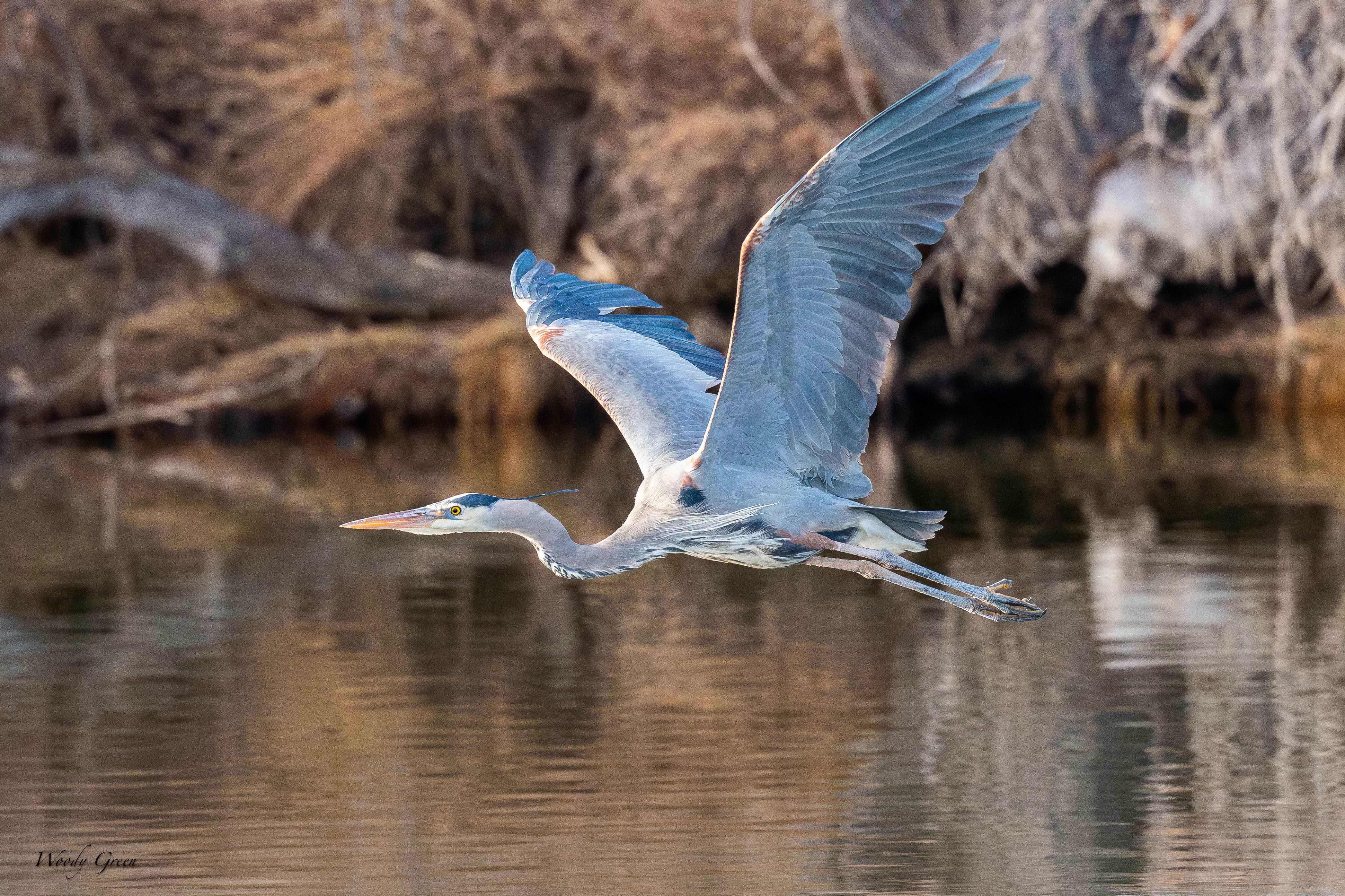 GBHFlight-283.jpg