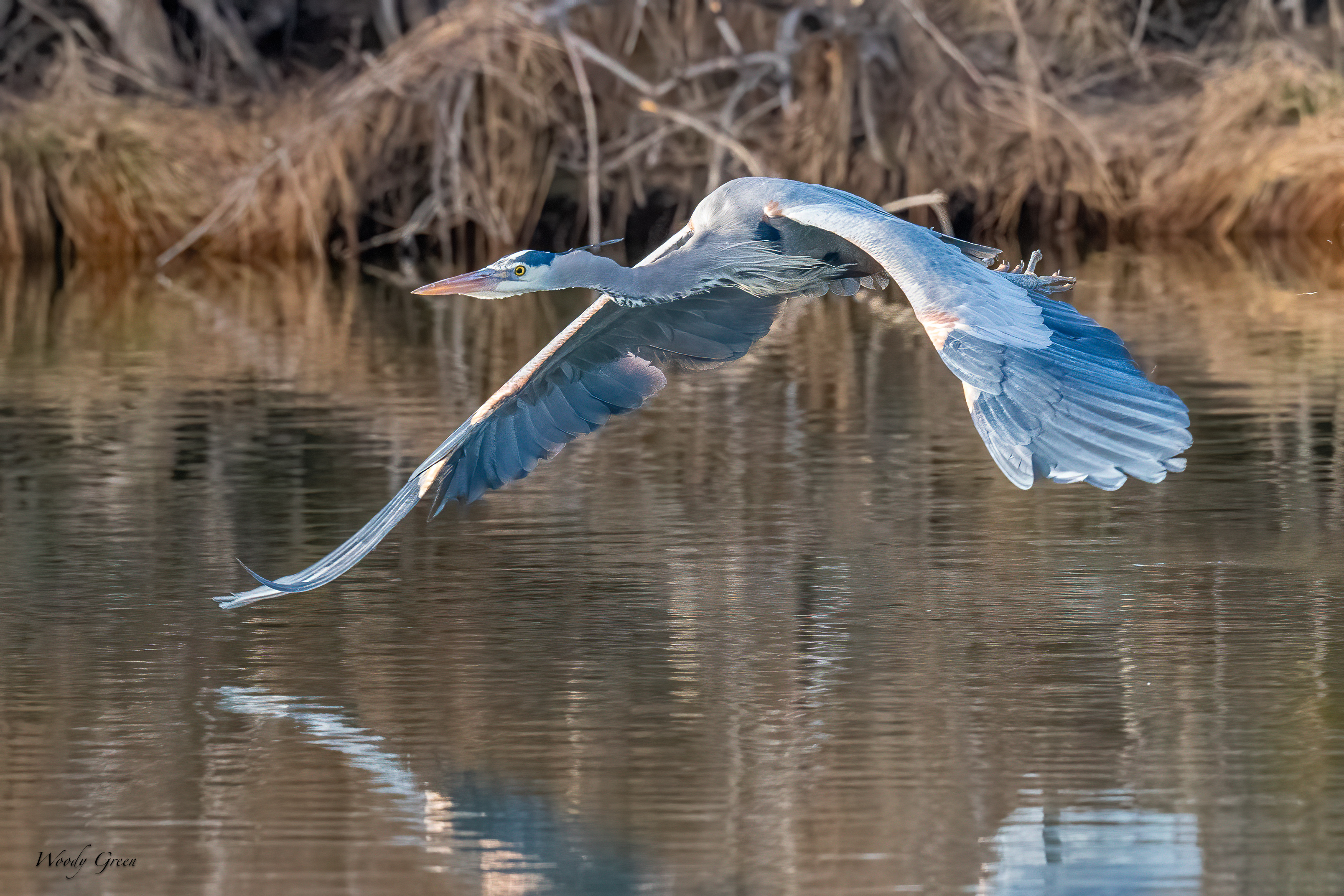 GBHFlight-286.jpg