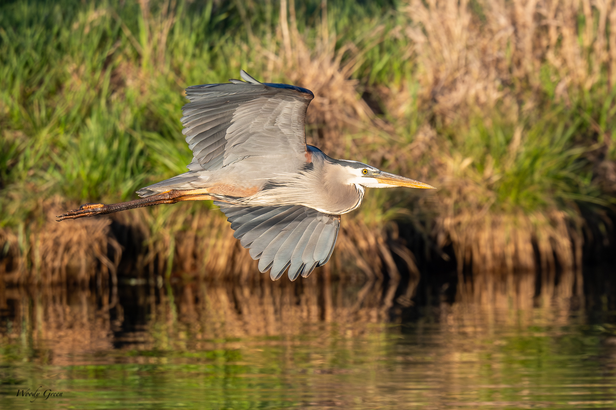 GBHFlight-681.jpg