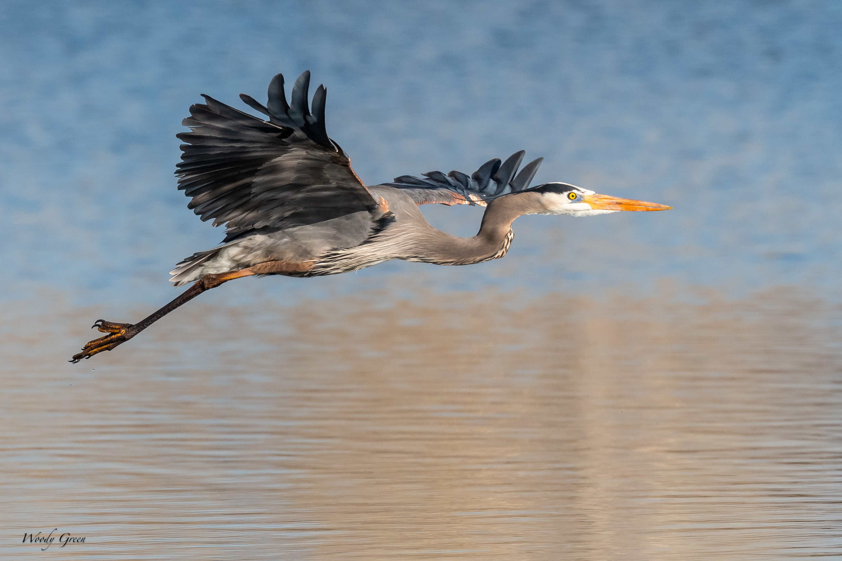 GBHFlight-752.jpg