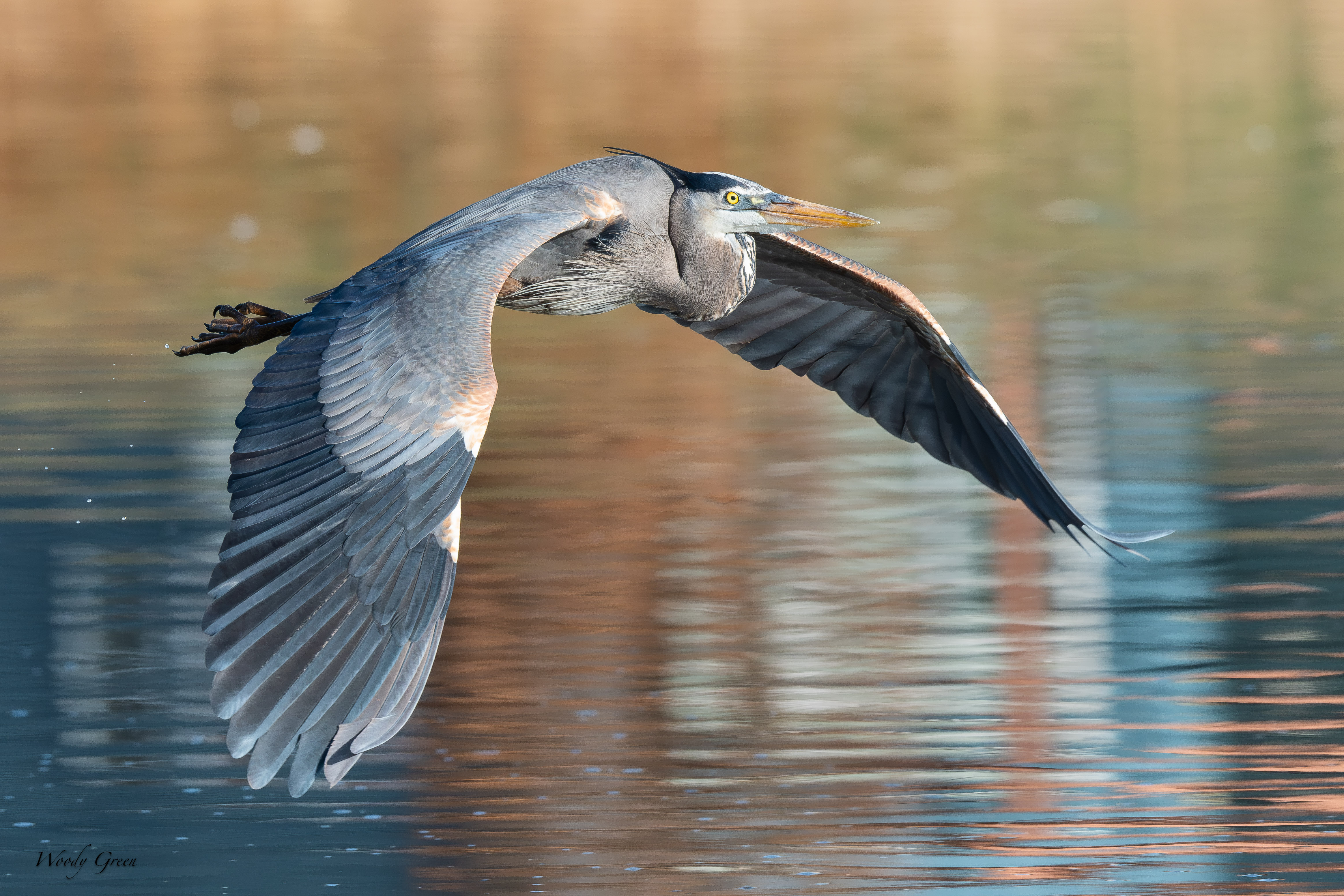 GBHFlight-93.jpg