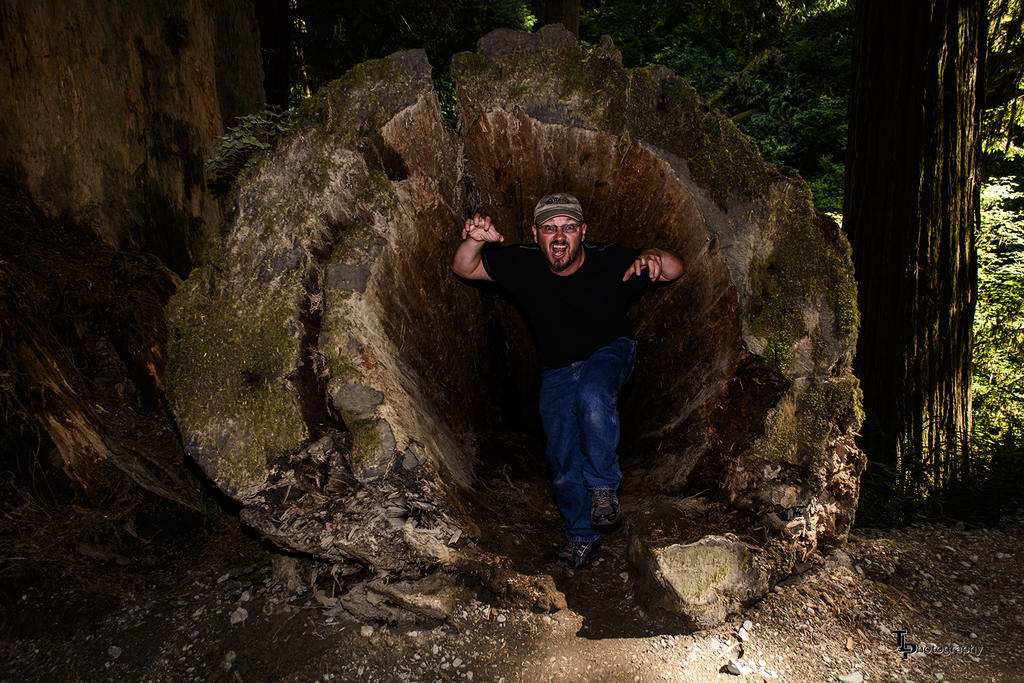 George in Tree.jpg