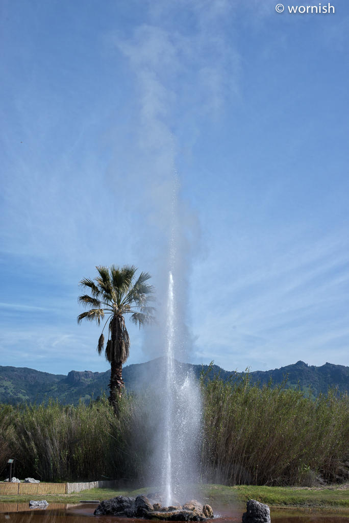 Geyser.jpg