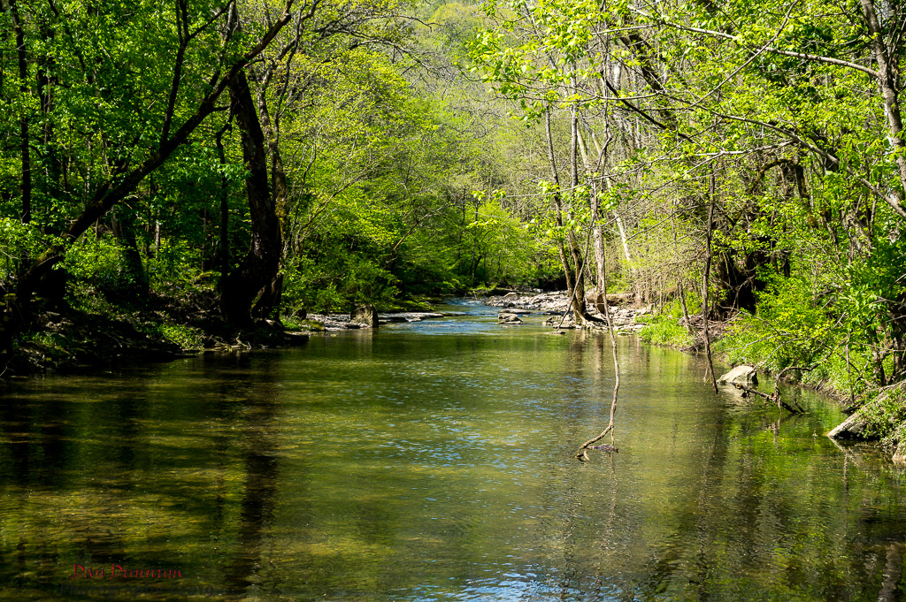 Gilberts Creek and Such-0755.jpg