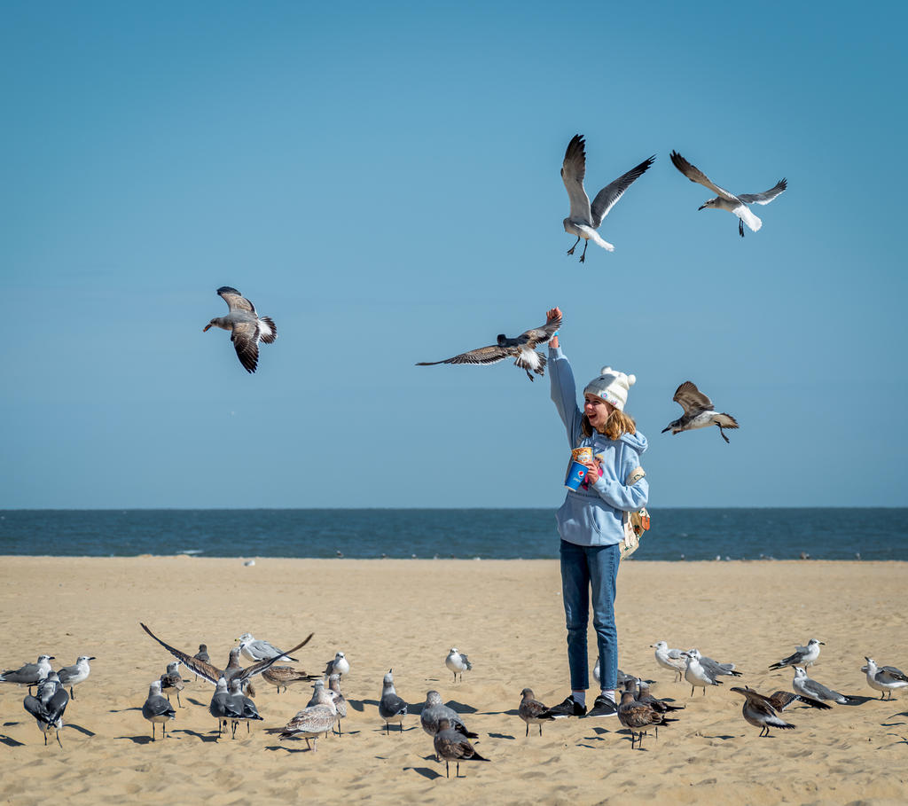 Girl Feeding Gulls 2 (1 of 1).jpg