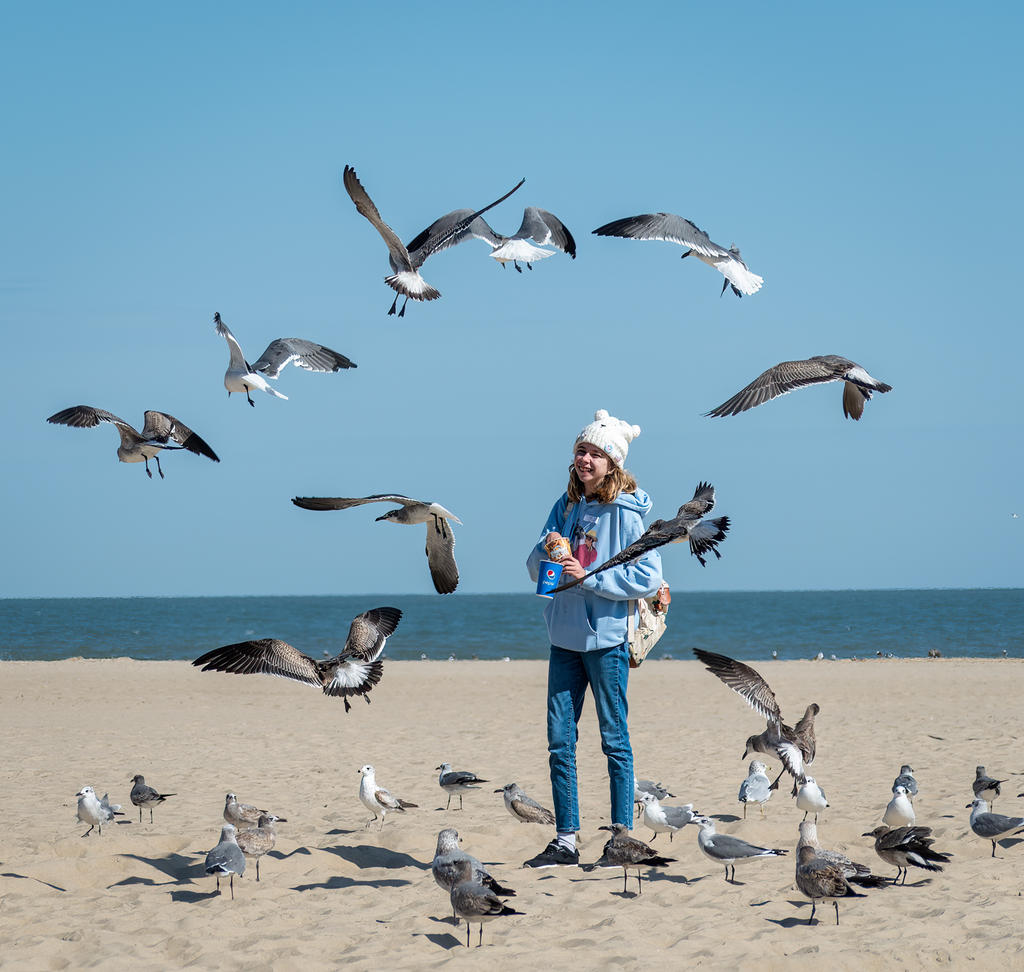 Girl Feeding Gulls 3 (1 of 1).jpg