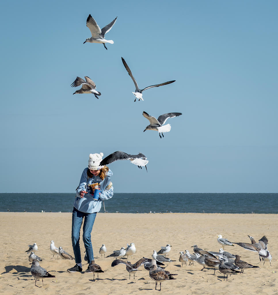 Girl Feeding Gulls 5 (1 of 1).jpg
