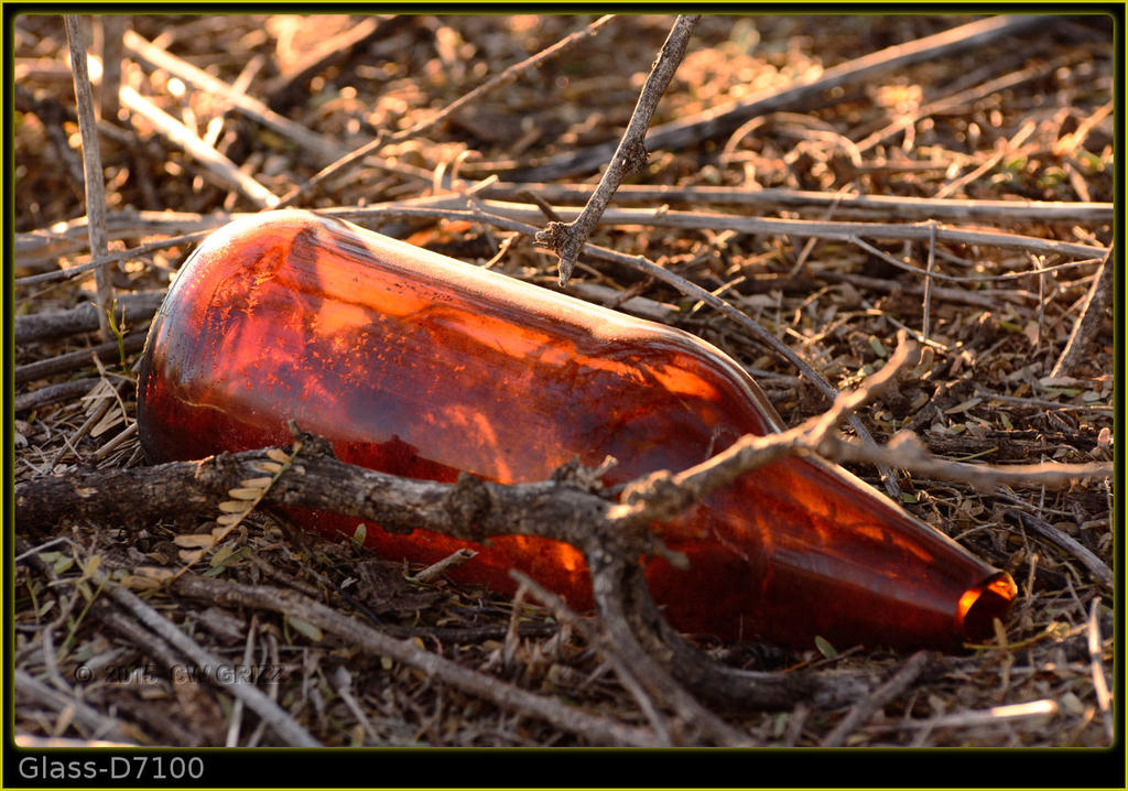 glass_15-12-06_cr_D7100_0006.jpg