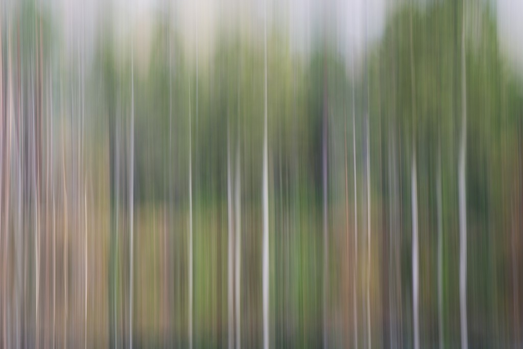 Glencoe1-9.jpg