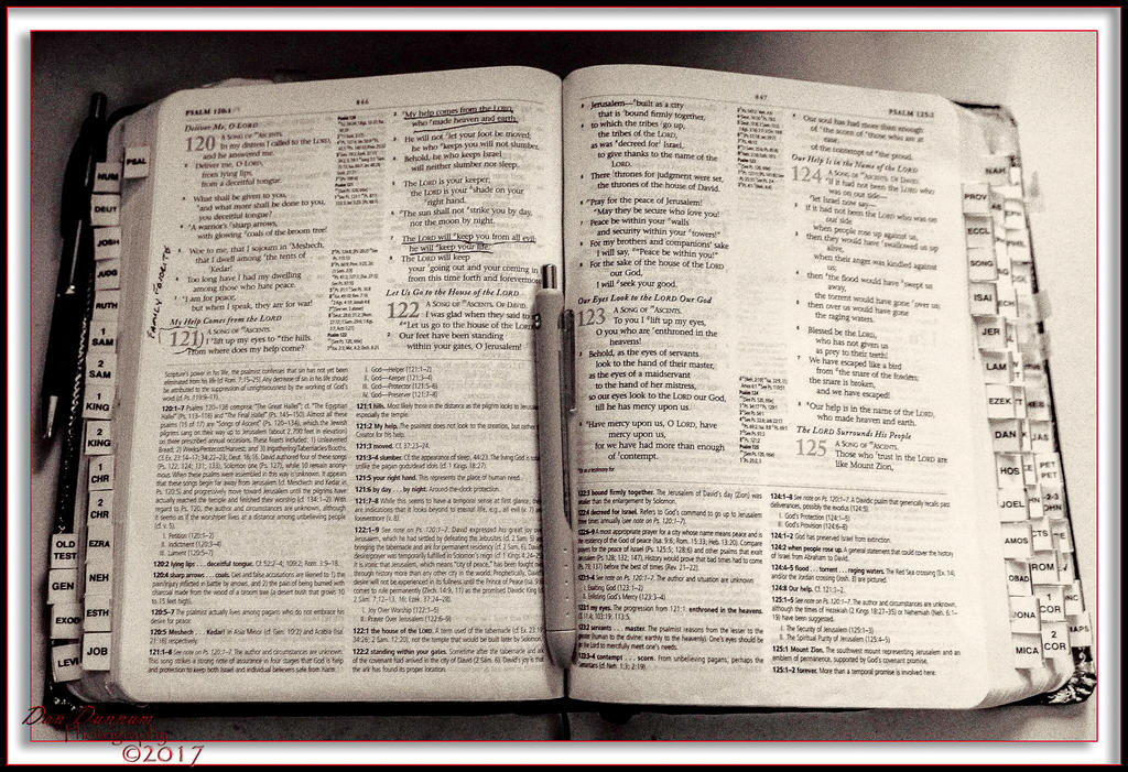 Gods Word-8777-Edit.jpg