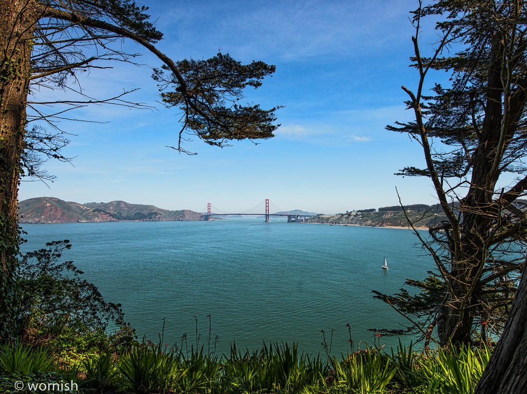 Golden Gate.jpg