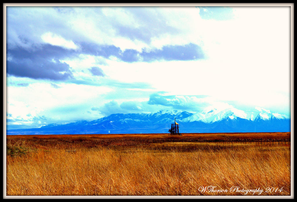Golden Prarie and Snow on the Mountain.jpg