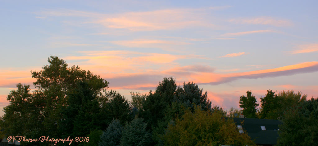 Good Morning 10-10-2016.jpg