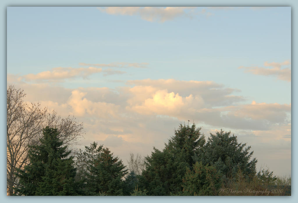 Good Morning Clouds 4-4-16.jpg
